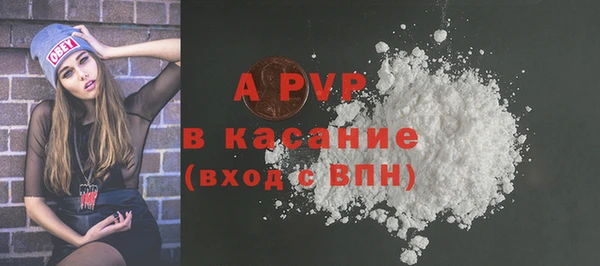 гидра Горнозаводск