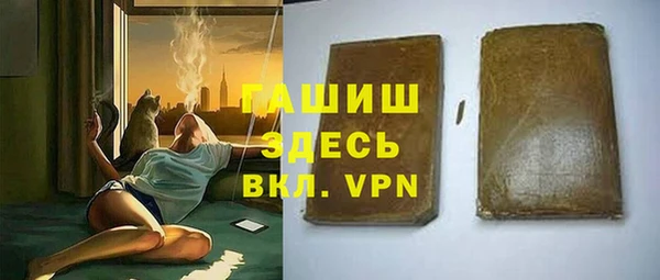 гидра Горнозаводск
