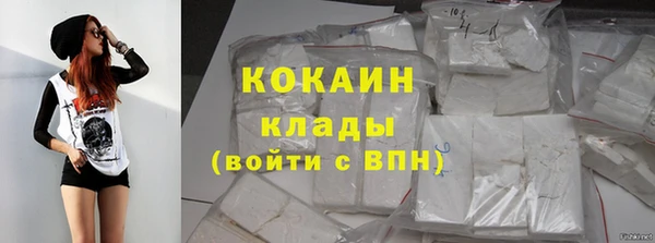гидра Горнозаводск