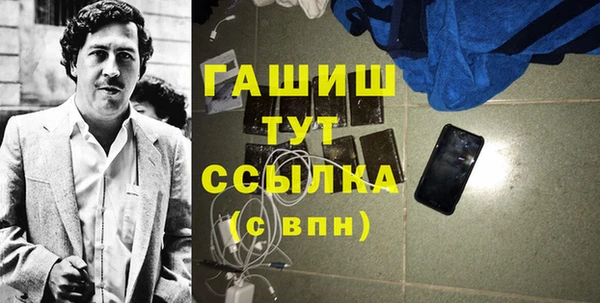 гидра Горнозаводск