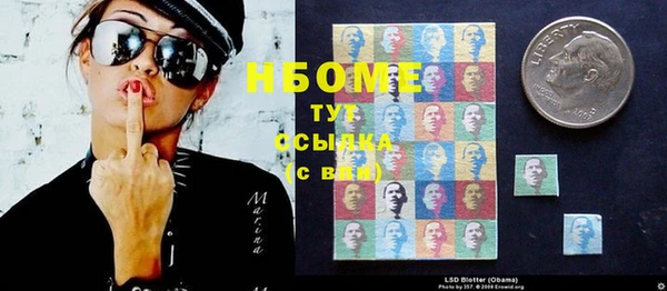 гидра Горнозаводск