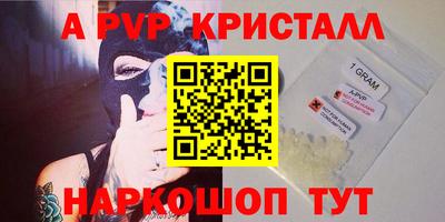 стафф Бийск