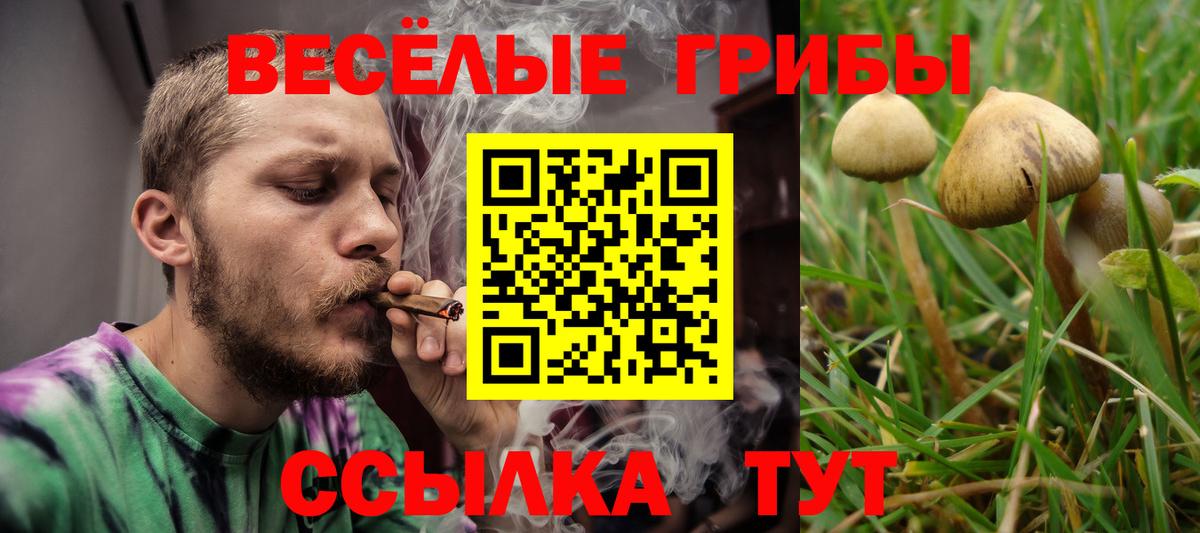Псилоцибиновые грибы GOLDEN TEACHER  сколько стоит  Дмитров 