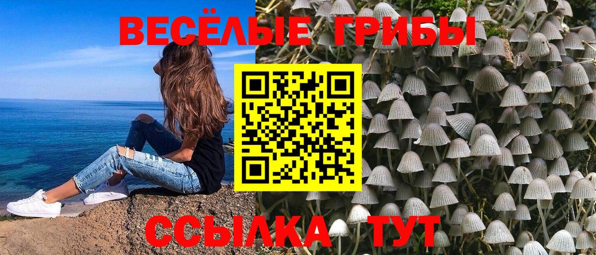  Cocaine Дмитров