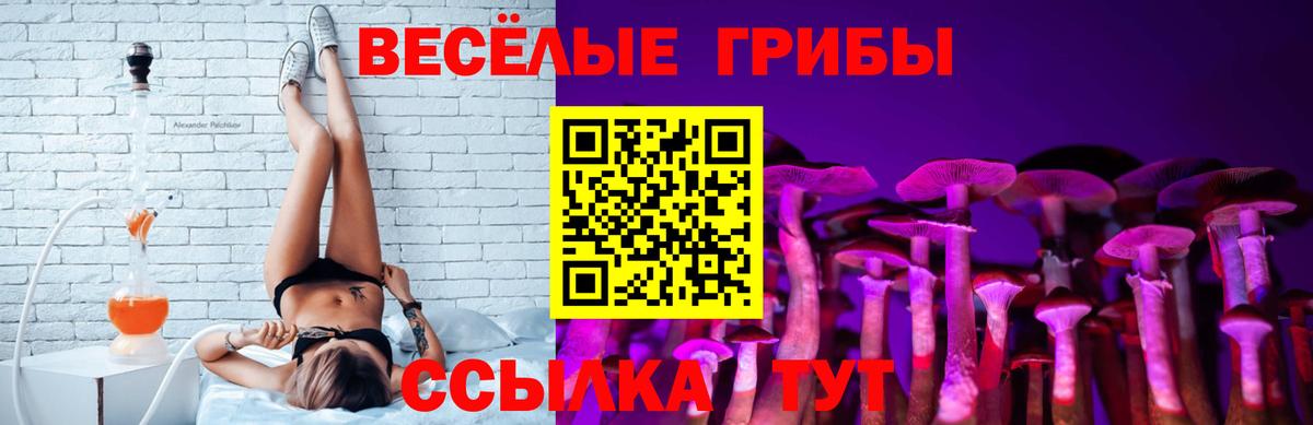 Галлюциногенные грибы мицелий  Псилоцибиновые грибы Cubensis  Дмитров  Вход с VPN 